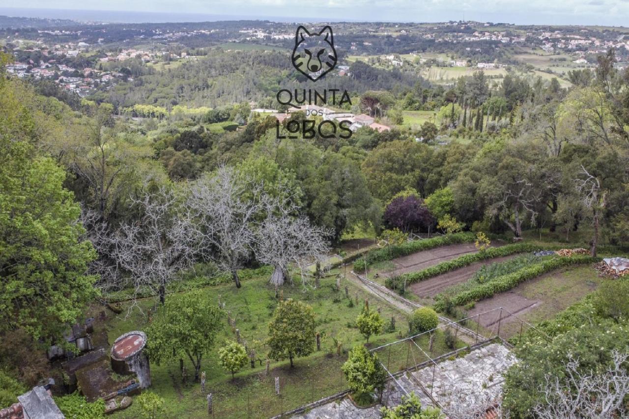 Quinta Dos Lobos Boutique Hotel - Nature Experience Sintra Eksteriør billede