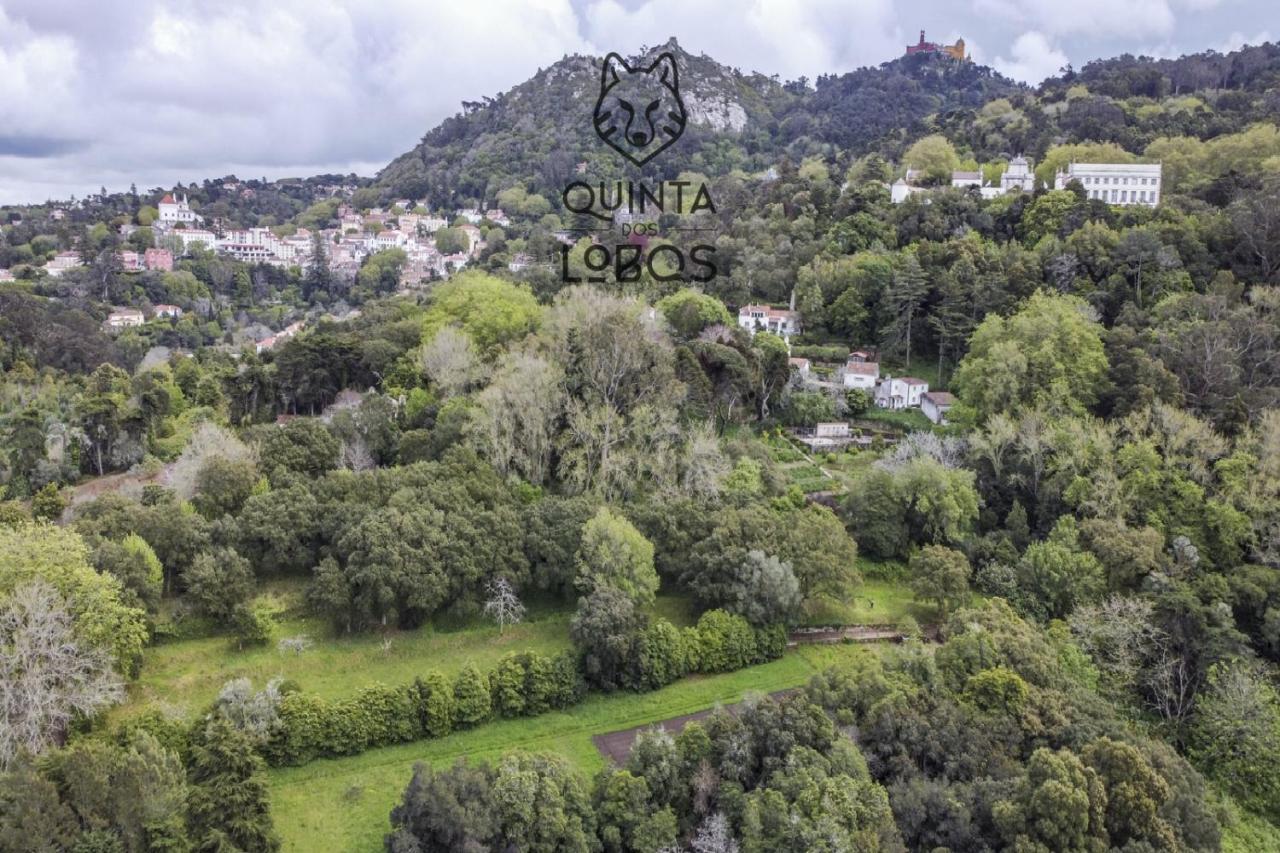 Quinta Dos Lobos Boutique Hotel - Nature Experience Sintra Eksteriør billede