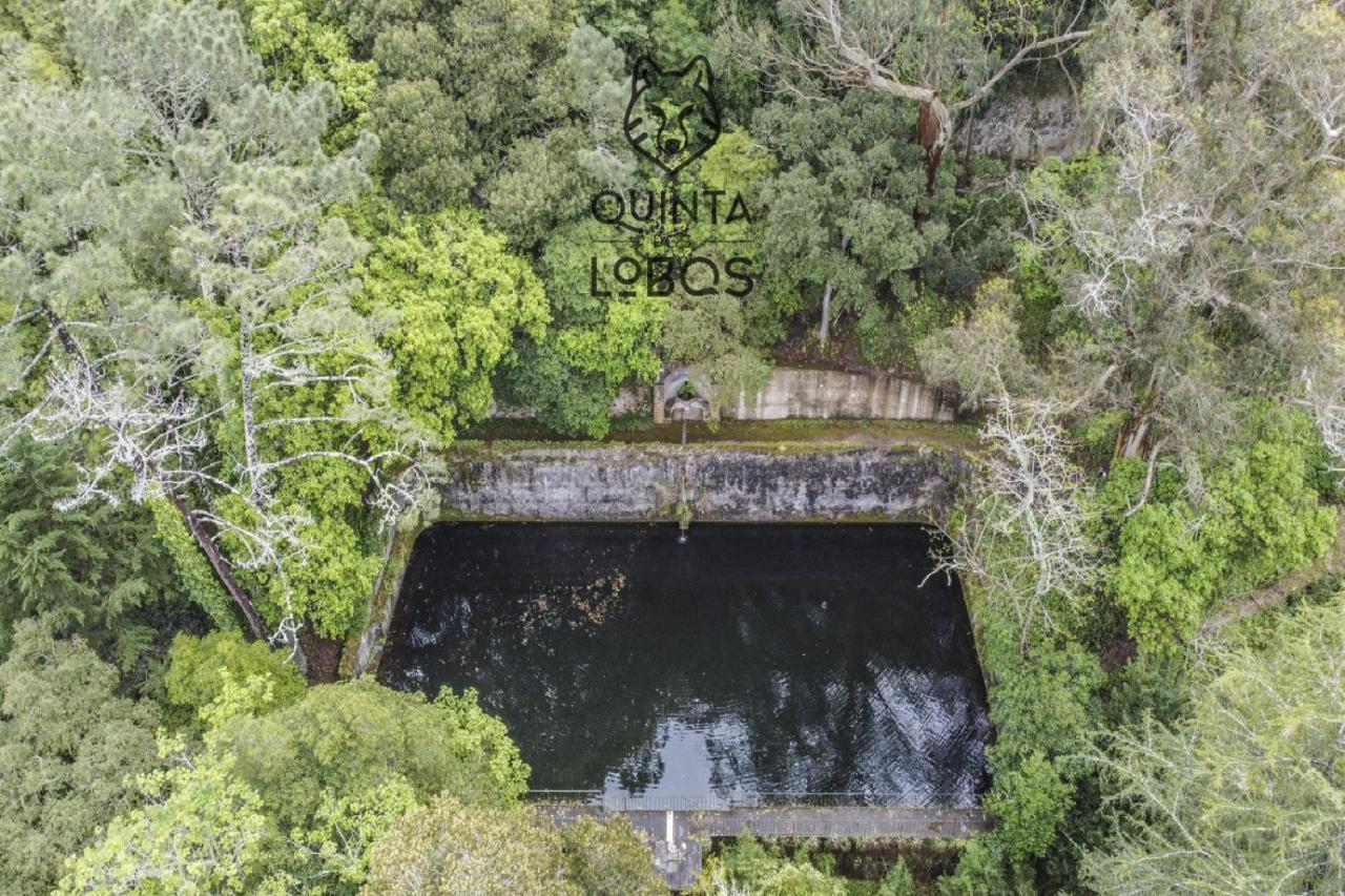 Quinta Dos Lobos Boutique Hotel - Nature Experience Sintra Eksteriør billede