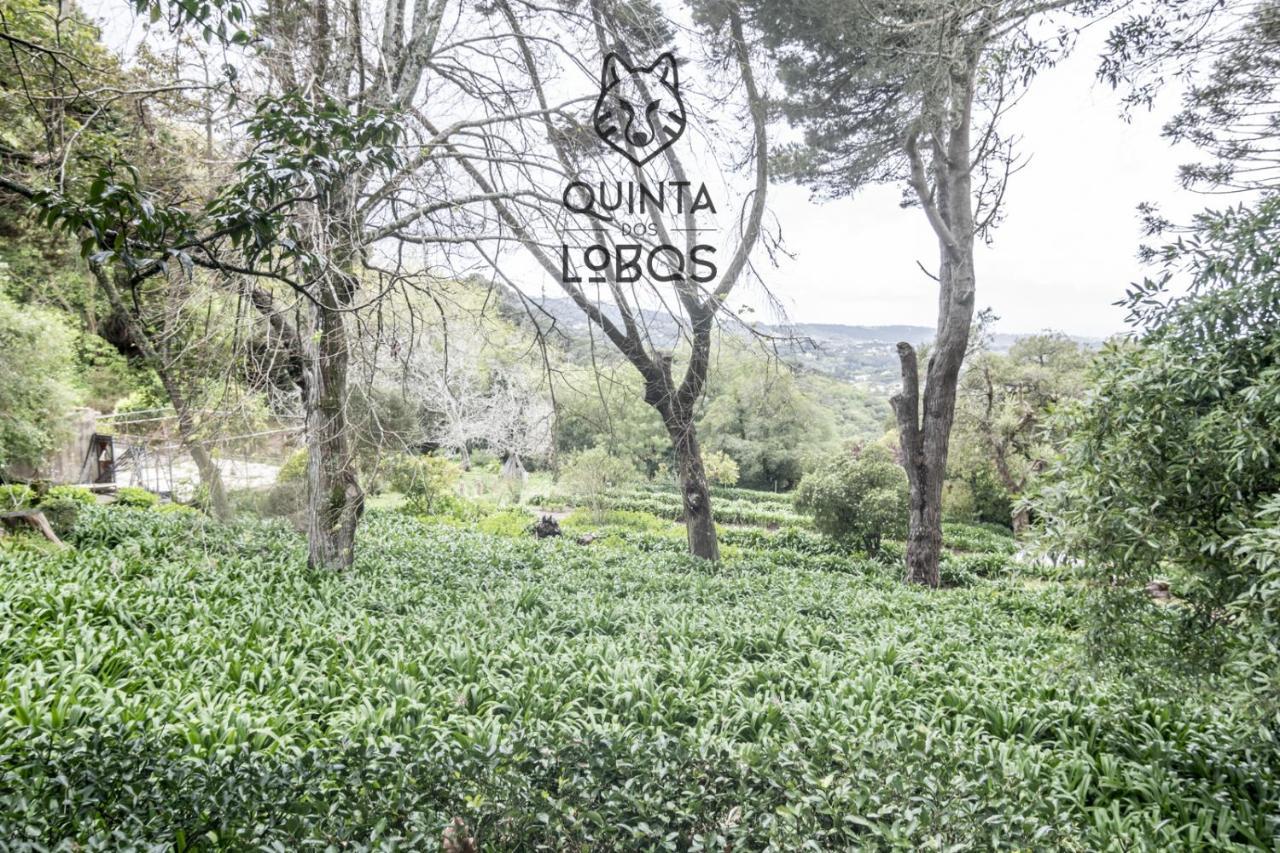 Quinta Dos Lobos Boutique Hotel - Nature Experience Sintra Eksteriør billede